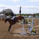 bowhouse equestrian limited