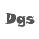 dgs new build limited