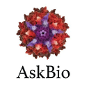 askbio uk ltd