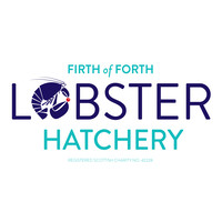 the firth of forth lobster hatchery limited
