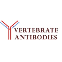 vertebrate antibodies limited