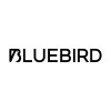 bluebird creative limited