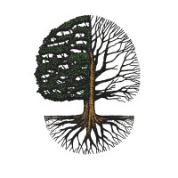 scottish outdoor education centres limited