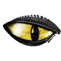 cobra simulation limited