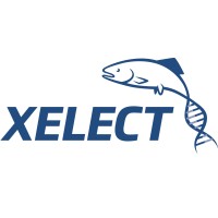 xelect limited