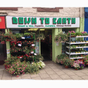 down to earth foods limited