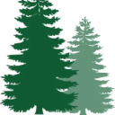 glenskinno biofuels ltd