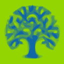 lime blue accountancy ltd