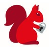 red squirrel selfstore limited