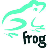 frog systems limited