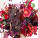 floral fundamentals ltd