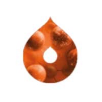 mcquilkin & co limited