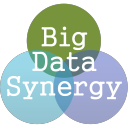 big data synergy ltd.