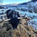 line architecture ltd