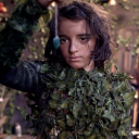 fellowship film limited