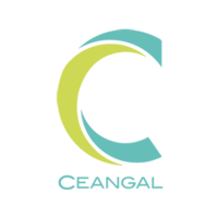ceangal corporate limited