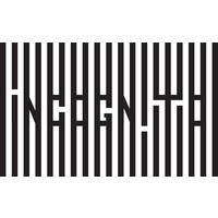 incognito ltd