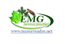emg services limited