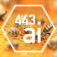 443 ai ltd