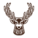 gallus promotions ltd