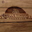 wellstim ltd