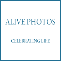 alive services ltd