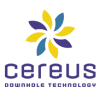 cereus ultrasonics limited