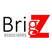 brigz associates limited