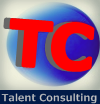 talent 365 consulting limited