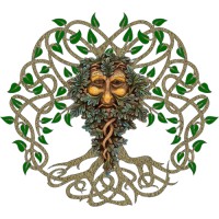 darach social croft ltd