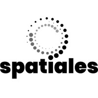 spatiales ltd